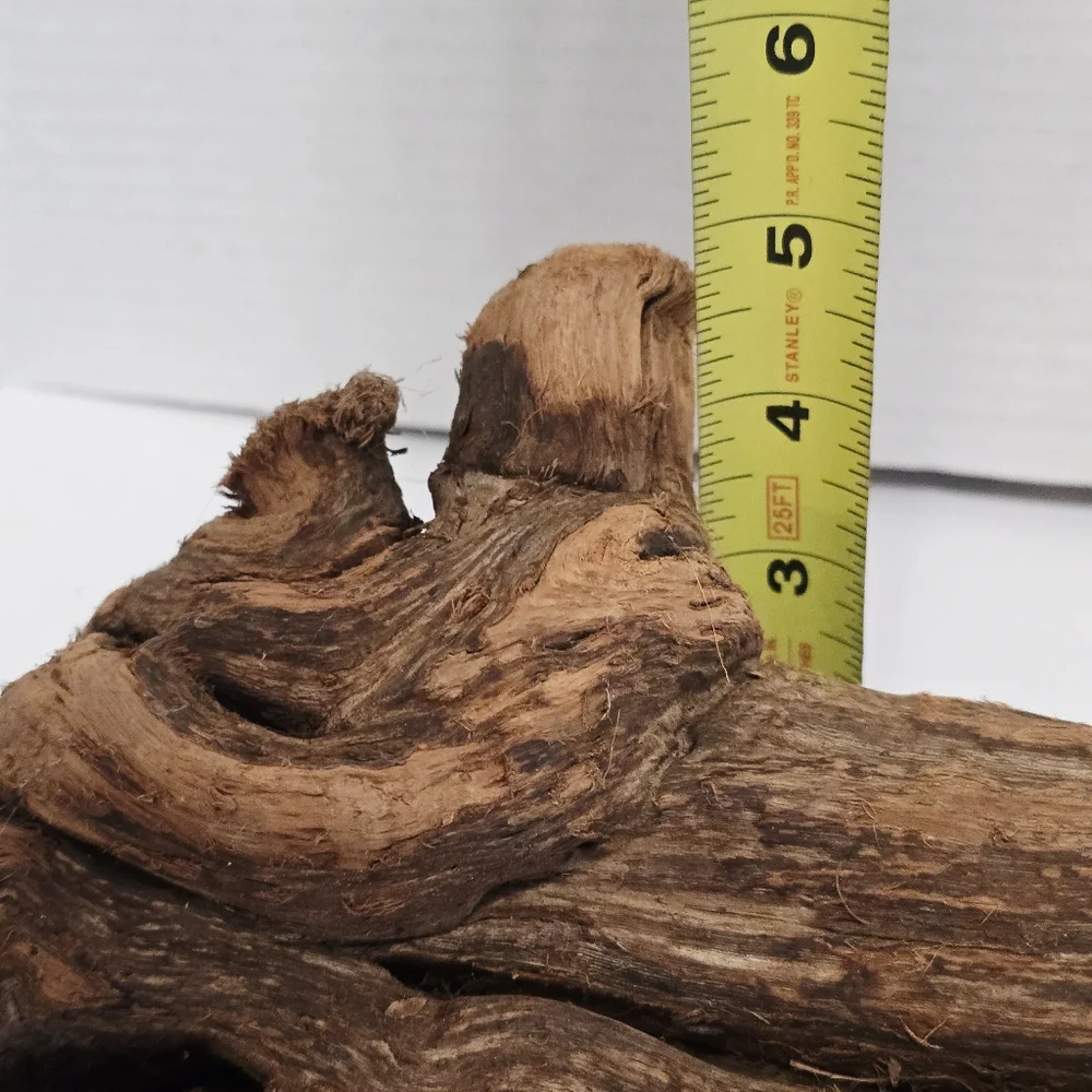 All Living Things Reptile Driftwood